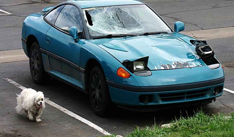 conducteurs malussés